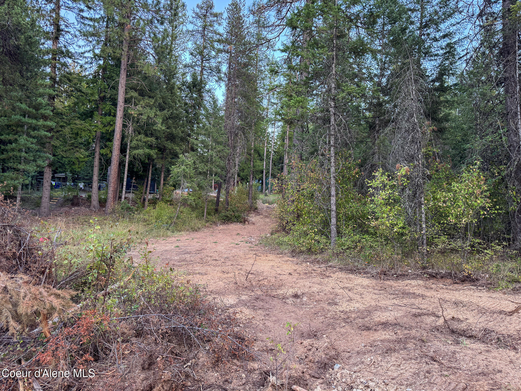 2058 Southside School Road Cocolalla, ID 83813 - Photo 9 of 53 IMG_6770
