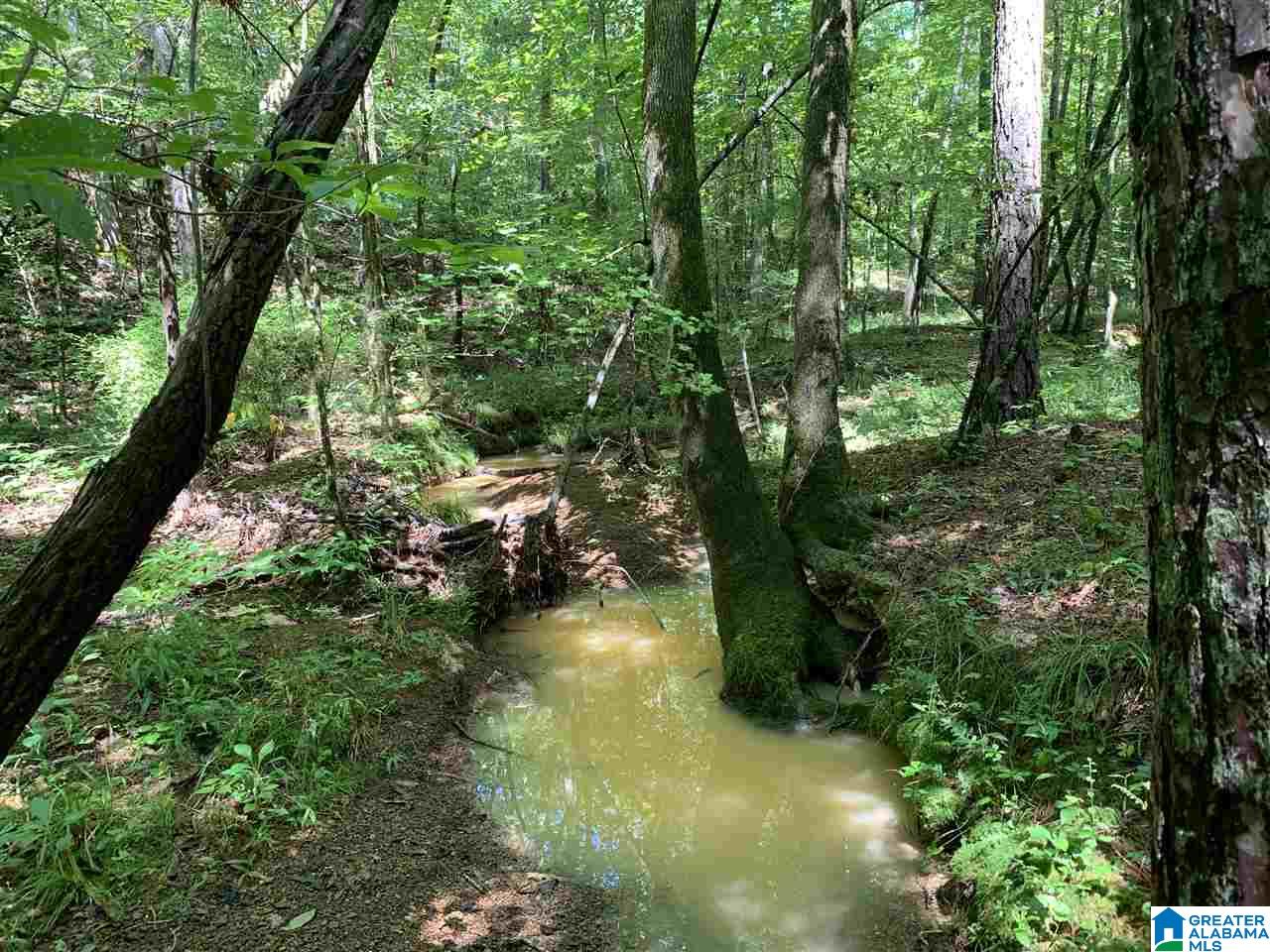 0 Brown Road Calera, AL 35040 - Photo 4 of 18