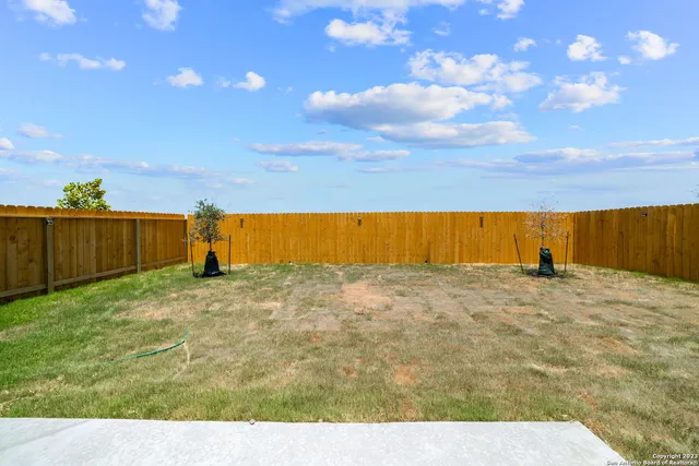 a view of a backyard