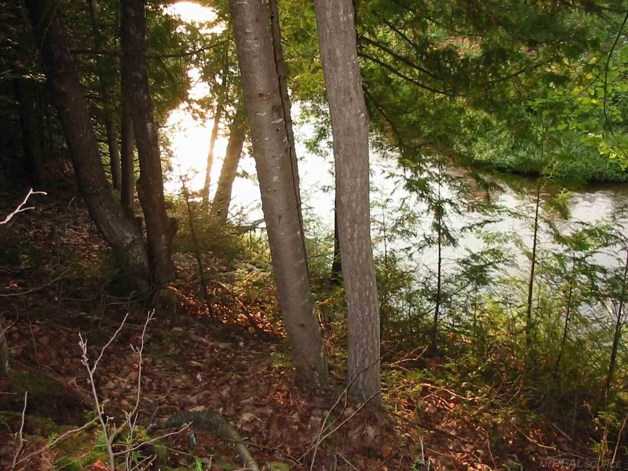 5 River Road Millersburg, MI 49759 - Photo 6 of 7