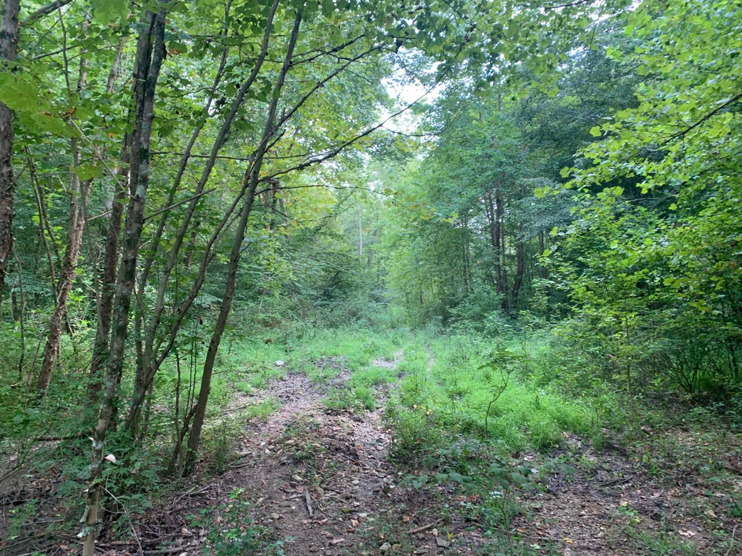 0 Upper Cane Creek Road Stanton, KY 40380 - Photo 13 of 34 Photo 13