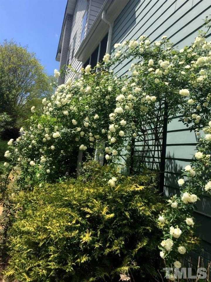 2302 Fairview Road Raleigh, NC 27608 - Photo 20 of 25 a view of a plant