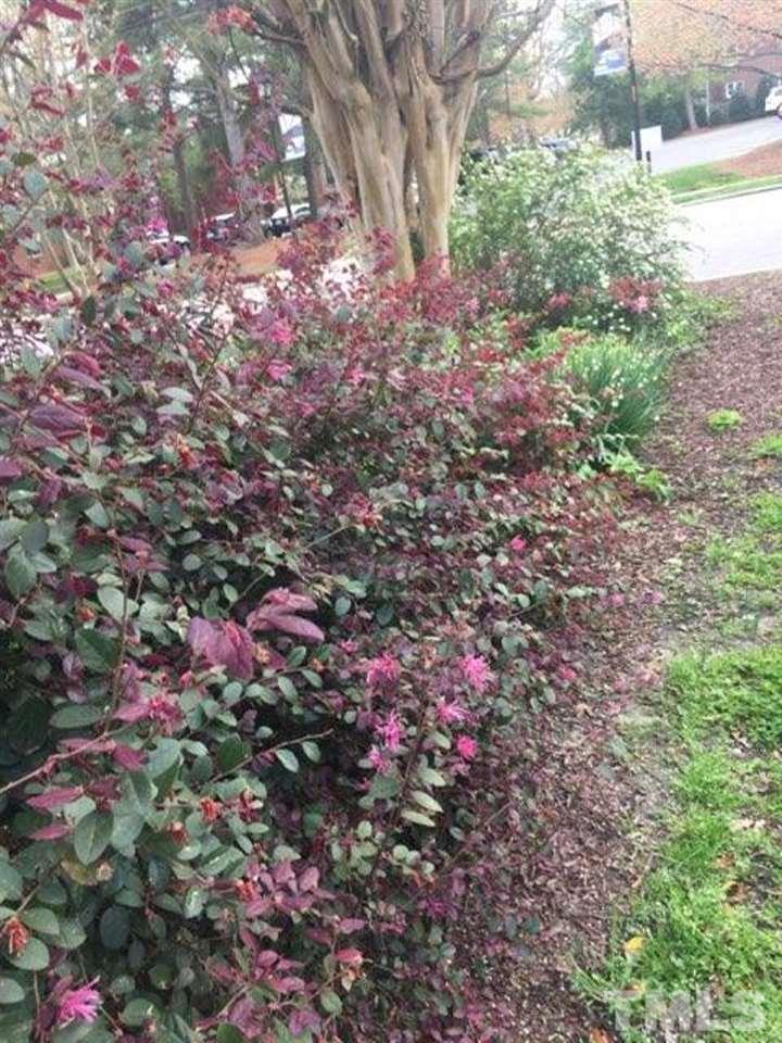 2302 Fairview Road Raleigh, NC 27608 - Photo 24 of 25 a view of yard with tree and wooden fence