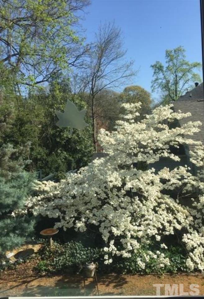 2302 Fairview Road Raleigh, NC 27608 - Photo 25 of 25 a view of a field of the trees