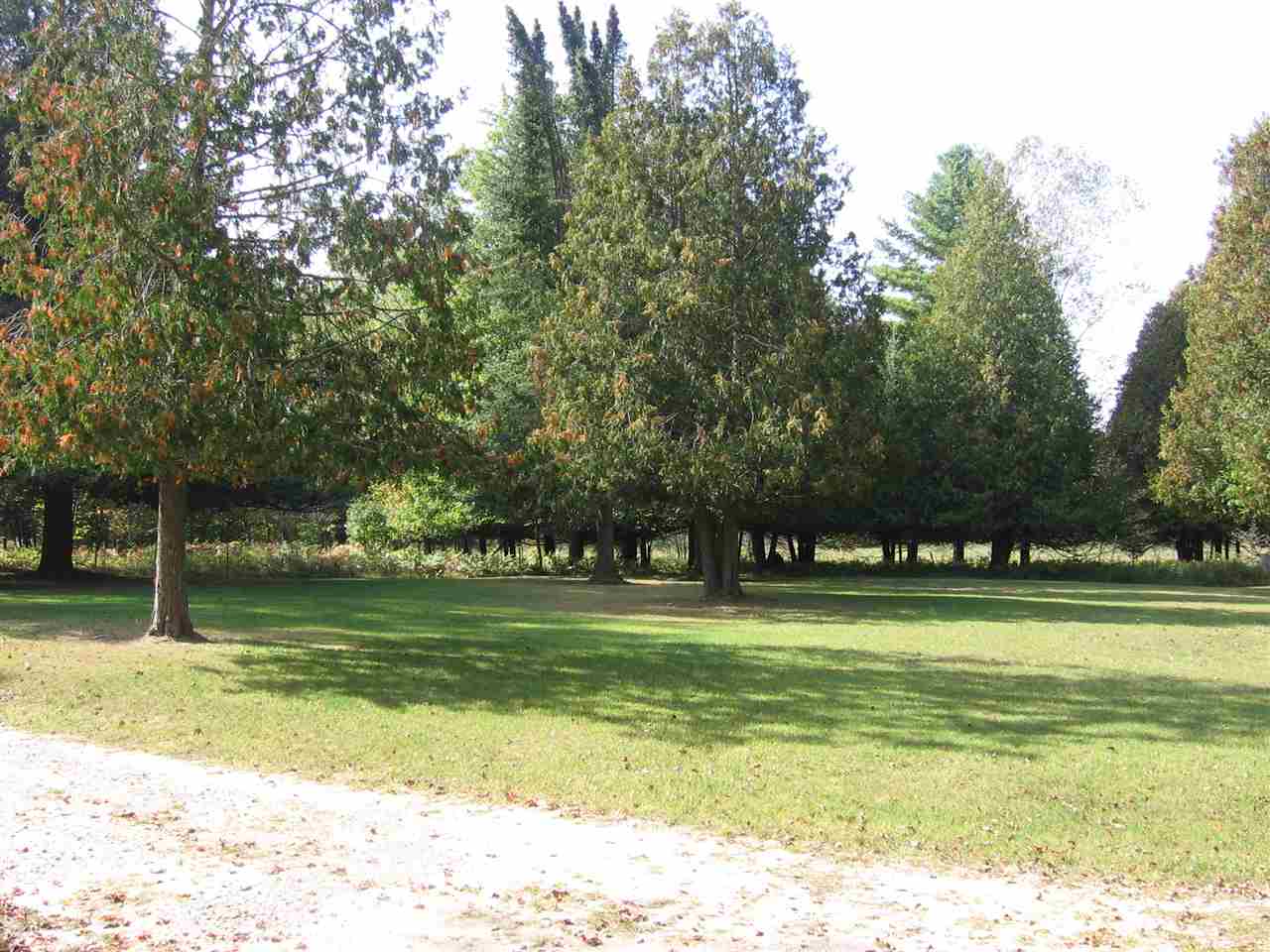 2468 Britt Road Hale, MI 48739 - Photo 40 of 59 1838834-39.JPG