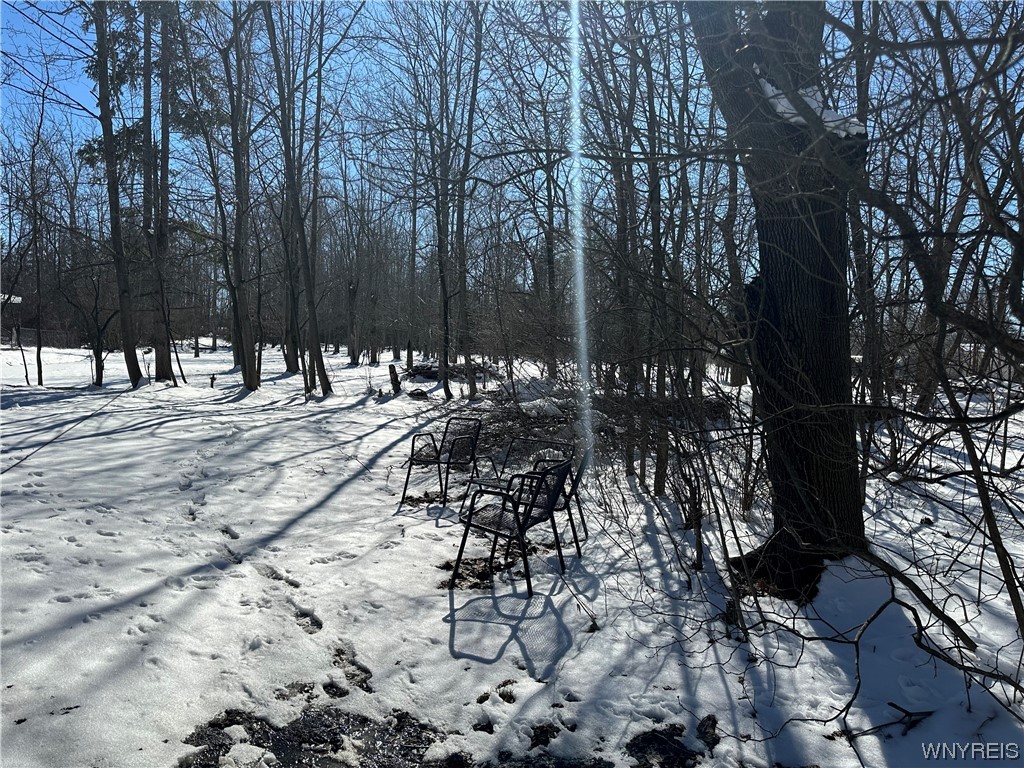 2053 Shadagee Road Evans, NY 14047 - Photo 3 of 3