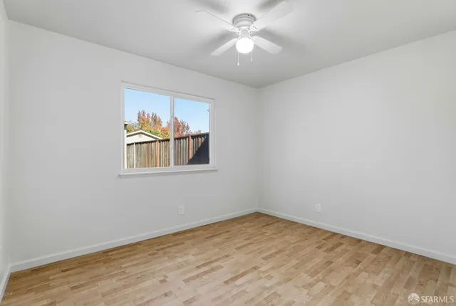 a view of a park with plants and a bench