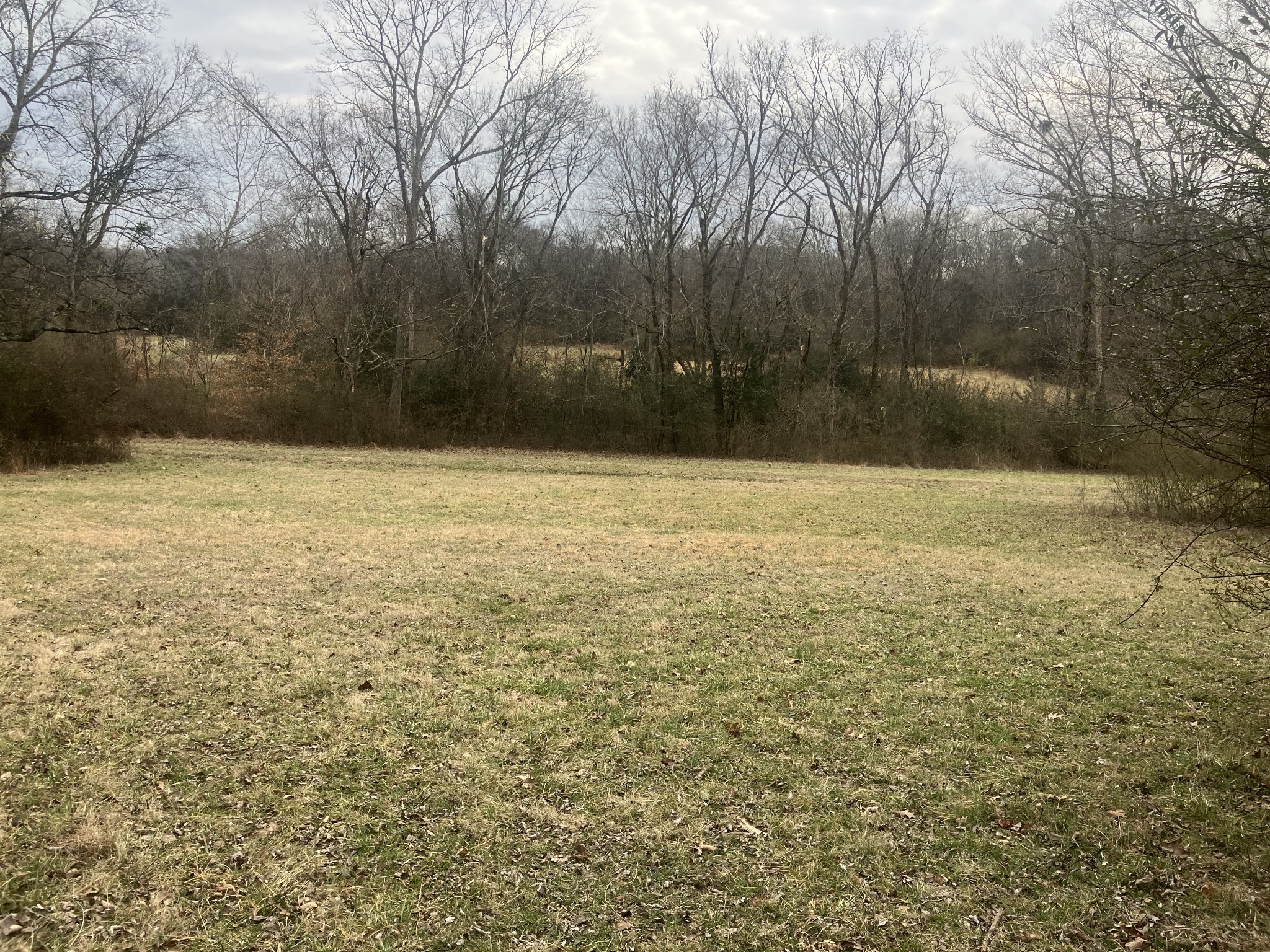 15 Booker Ridge Road Mount Pleasant, TN 38474 - Photo 4 of 21 Gallery Image 4