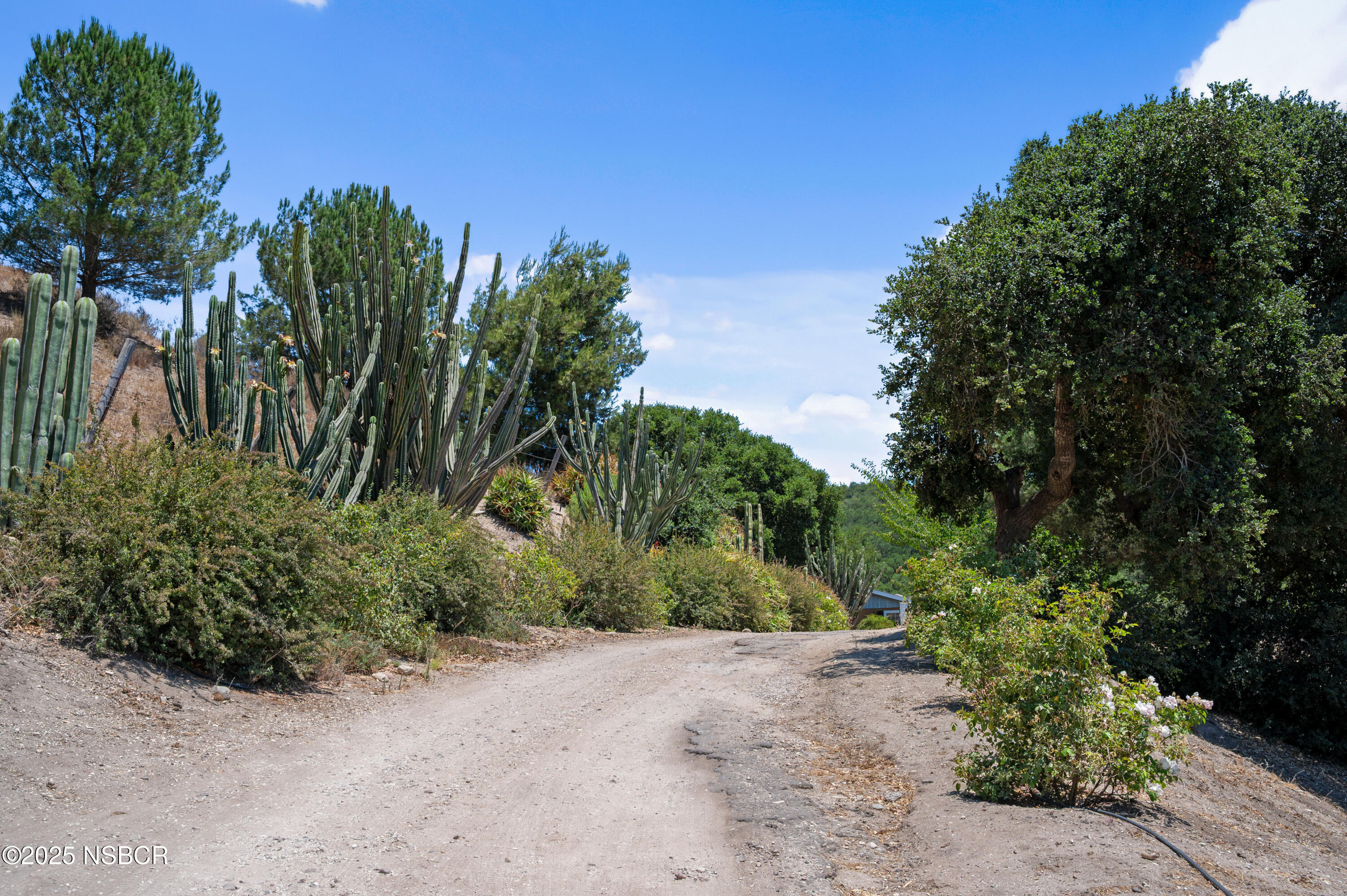6870 Long Canyon Road Santa Maria, CA 93454 - Photo 36 of 60 6870-long-canyon-road-santa-maria-ca-36