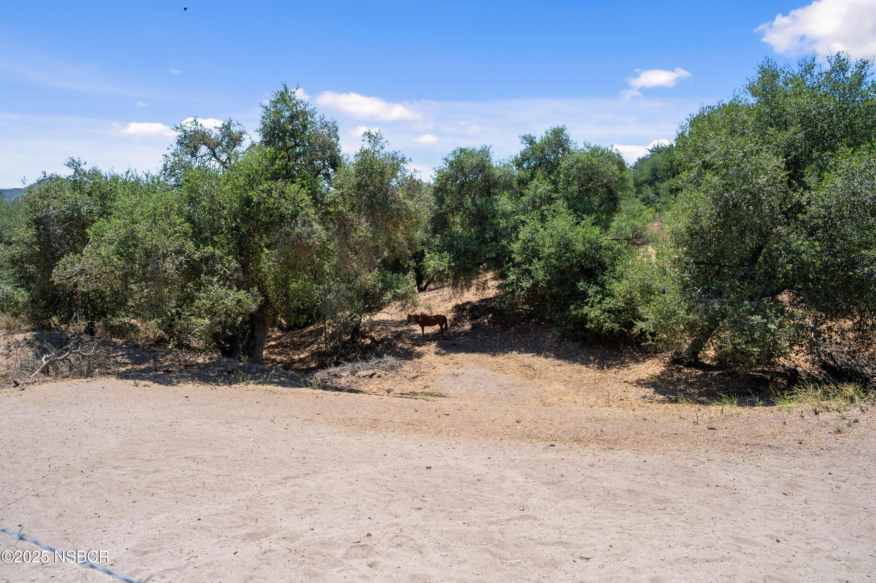 6870 Long Canyon Road Santa Maria, CA 93454 - Photo 42 of 60 6870-long-canyon-road-santa-maria-ca-43