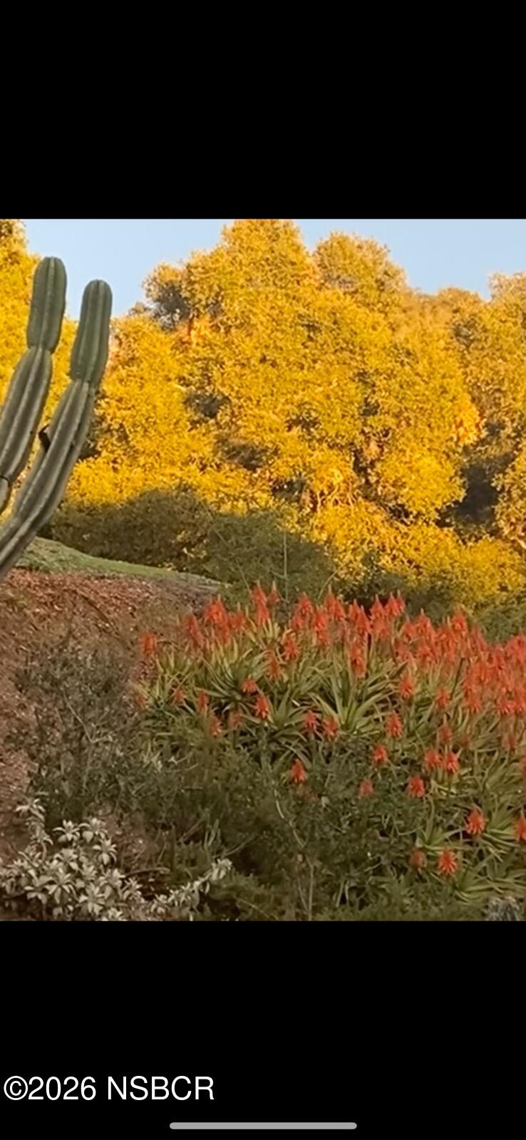 6870 Long Canyon Road Santa Maria, CA 93454 - Photo 56 of 60 IMG_4720