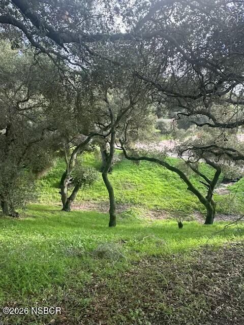 6870 Long Canyon Road Santa Maria, CA 93454 - Photo 59 of 60 IMG_4659