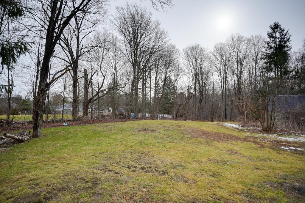 387 Commonwealth Road Wayland, MA 01778 - Photo 3 of 42 Gallery Image 3