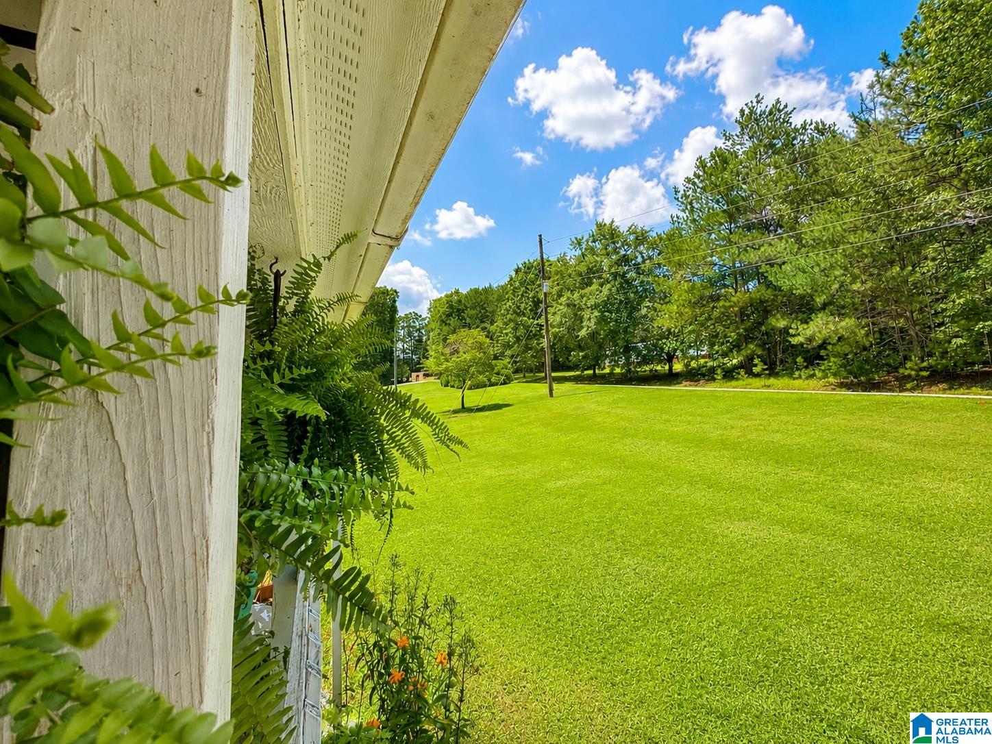 102 Pine Ridge Road Wedowee, AL 36278 - Photo 18 of 22