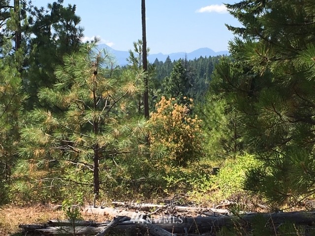 2 Creekside Road Cle Elum, WA 98922 - Photo 12 of 14 Gallery Image 12