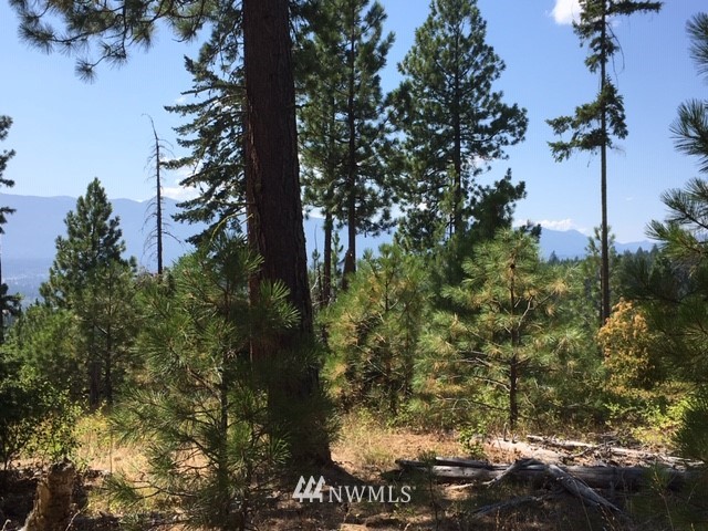 2 Creekside Road Cle Elum, WA 98922 - Photo 13 of 14 Gallery Image 13