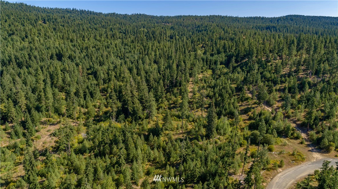 2 Creekside Road Cle Elum, WA 98922 - Photo 4 of 14 Gallery Image 4
