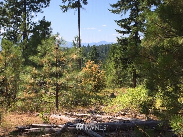 2 Creekside Road Cle Elum, WA 98922 - Photo 7 of 14 Gallery Image 7