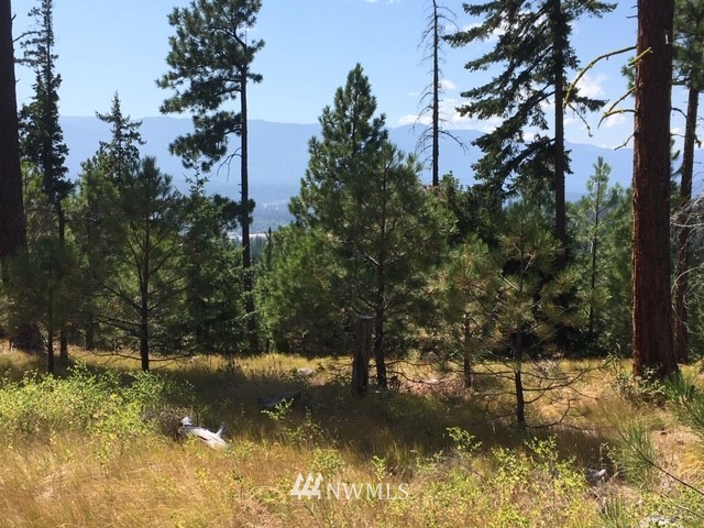 2 Creekside Road Cle Elum, WA 98922 - Photo 9 of 14 Gallery Image 9
