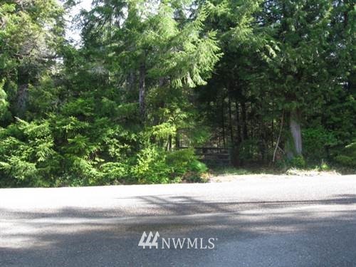 68 Larson Road McCleary, WA 98557 - Photo 1 of 2 Gallery Image 1