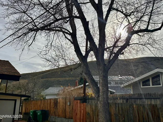 a view of a house with a tree