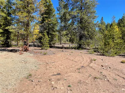 a view of dirt yard with a tree