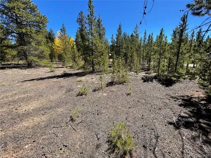 a view of dirt yard with a large tree