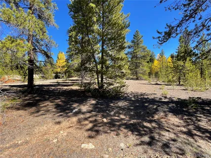 a view of dirt yard with a large tree