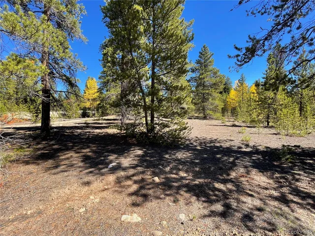 a view of dirt yard with a large tree