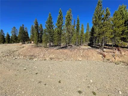 a view of a yard with trees in the background