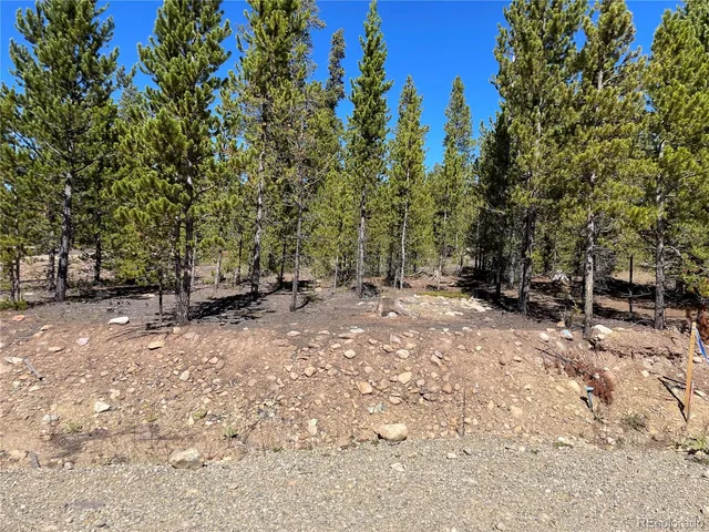 a view of backyard with green space