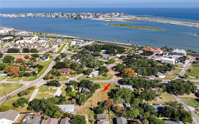 a picture of flowers