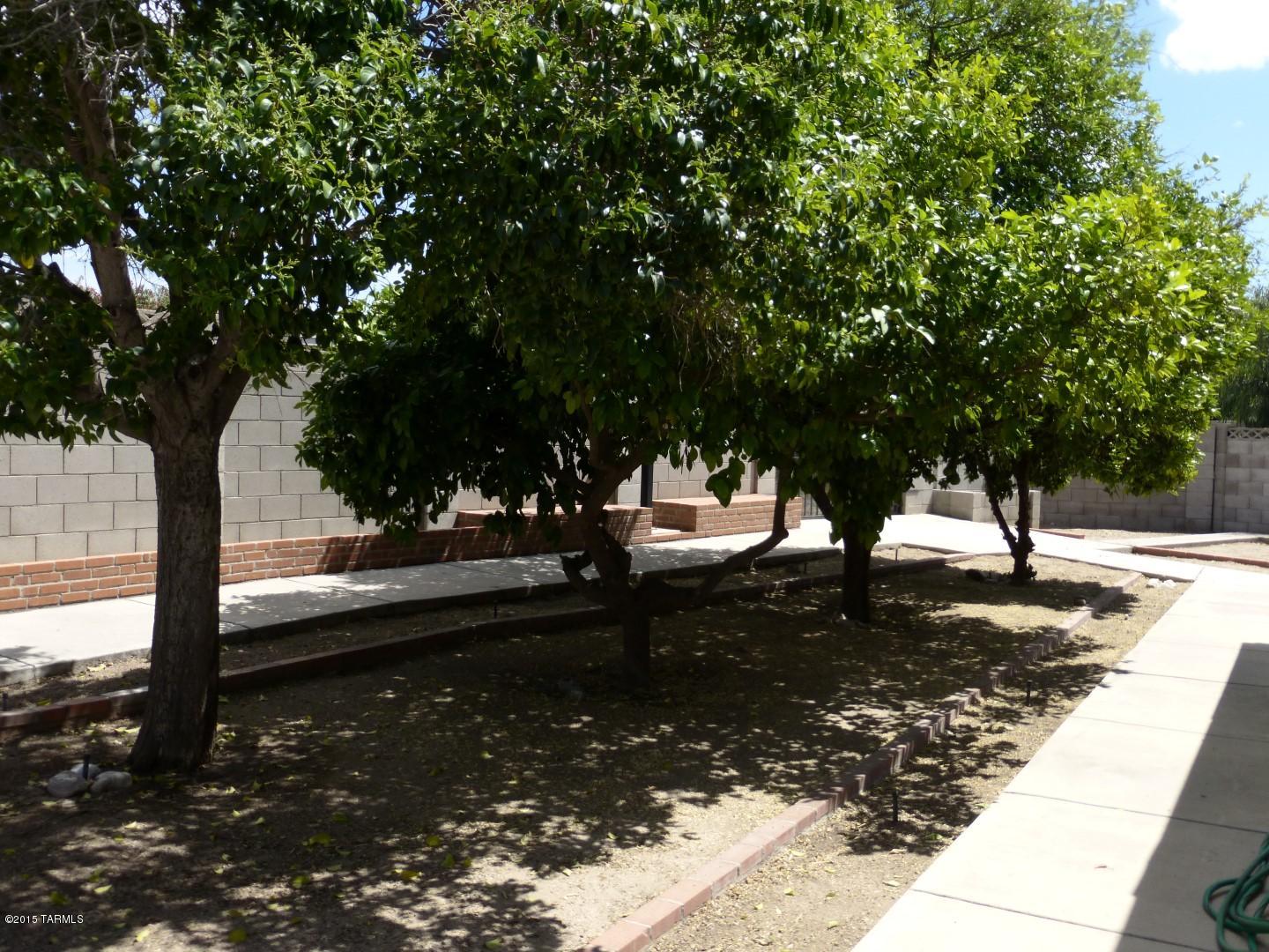 9238 East Stella Road Tucson, AZ 85730 - Photo 22 of 25