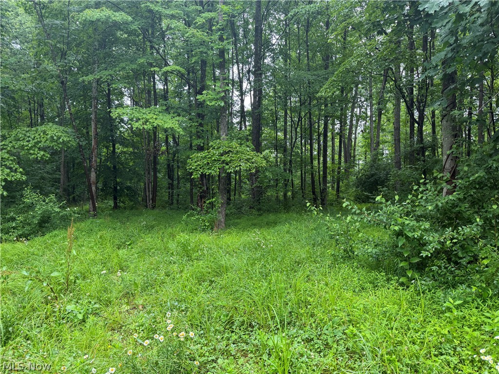 19440 Township Road Warsaw, OH 43844 - Photo 5 of 6