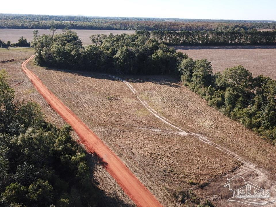 5-acres Ard Field Road Jay, FL 32565 - Photo 2 of 4