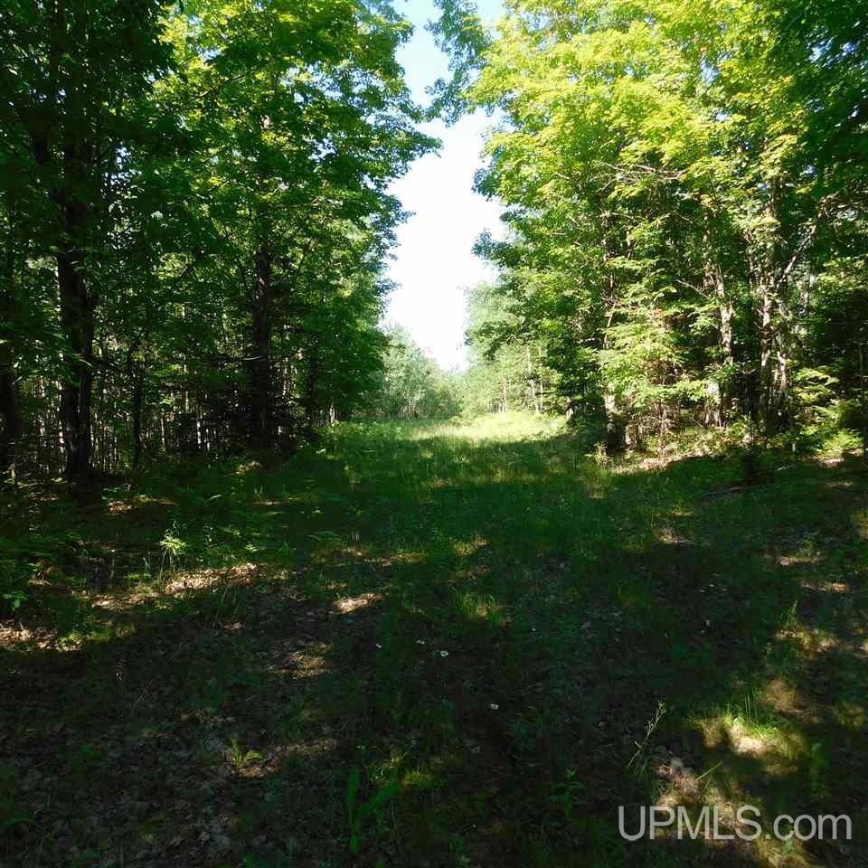 Tbd Tbd Off Fox Farm Road Hermansville, MI 49847 - Photo 8 of 12
