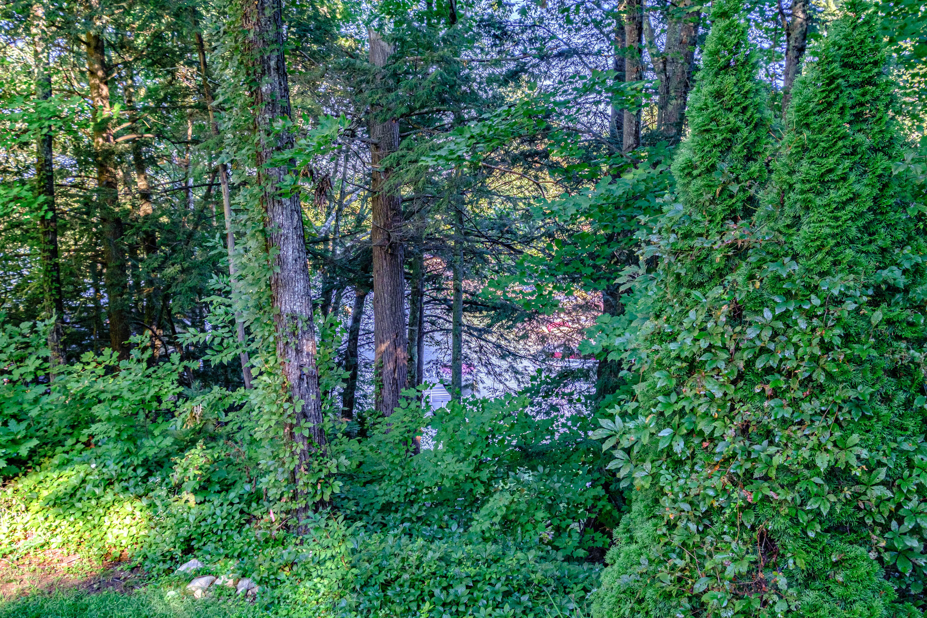 17 Grassington Road Windham, ME 04062 - Photo 44 of 54 20220914gp-60018