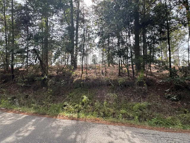a view of a forest with large trees