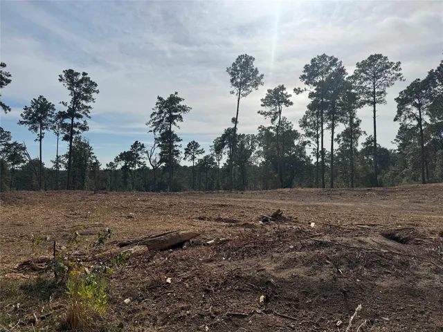 a view of dirt field with large trees