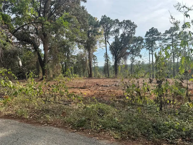a view of backyard of house with green space