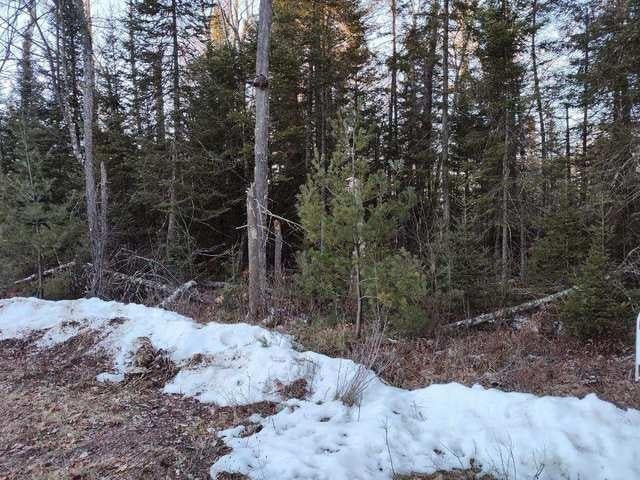 0 Branch Road, Unit LOT 2 Tomahawk, WI 54487 - Photo 4 of 8 Gallery Image 4