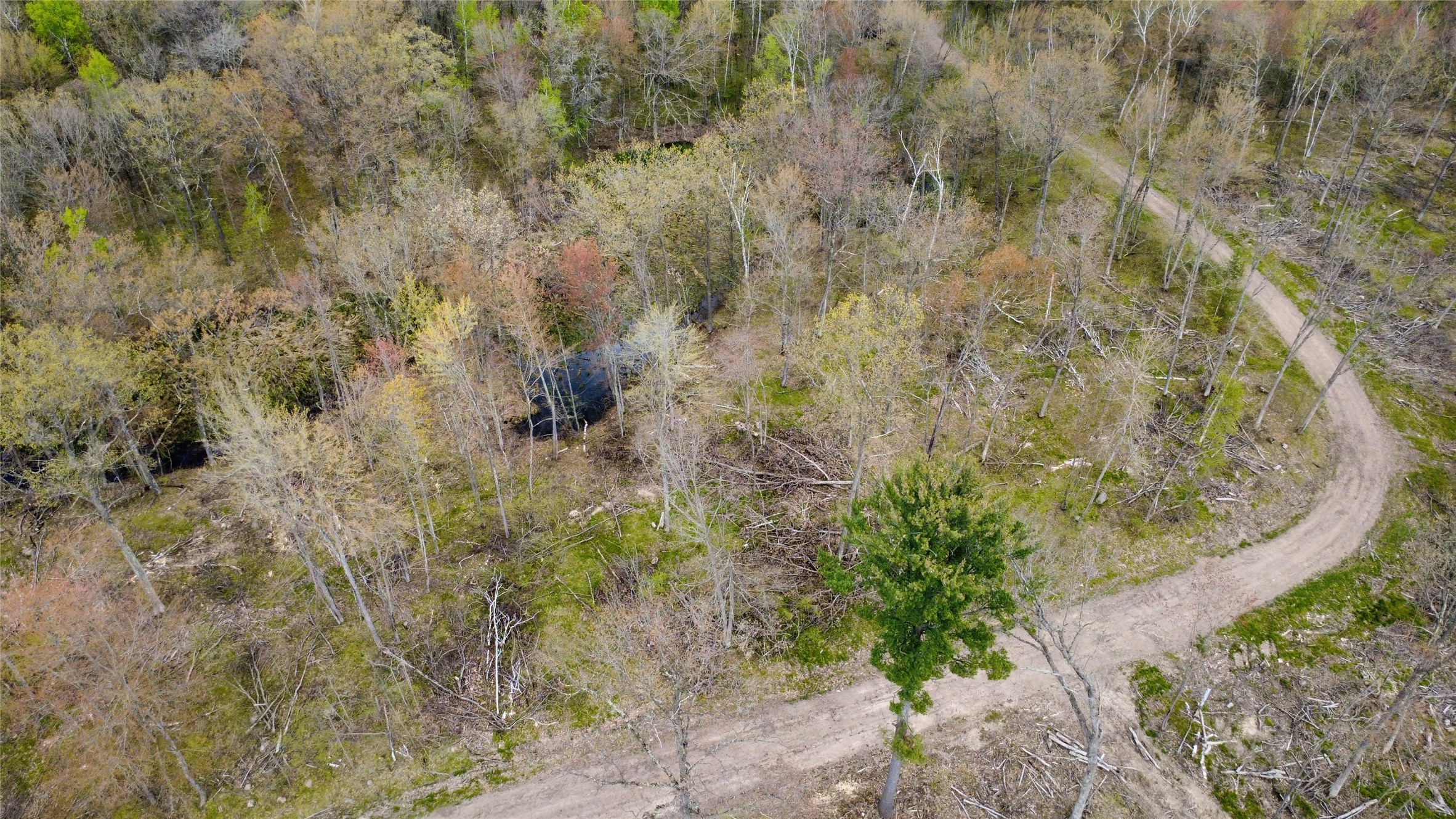 0 Ramer Road Bruce, WI 54819 - Photo 6 of 23