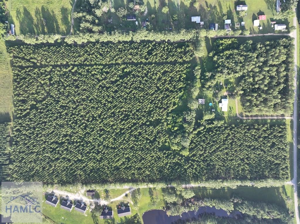 0 Oglethorpe Road Jesup, GA 31545 - Photo 2 of 7