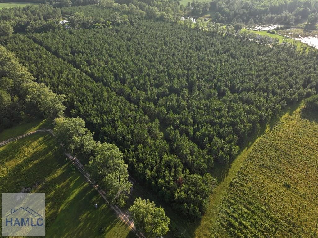 0 Oglethorpe Road Jesup, GA 31545 - Photo 5 of 7