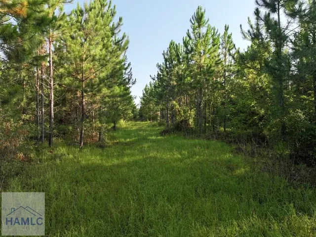 $240,000 | 1-a & 1c Oglethorpe Road, Jesup, GA 31545