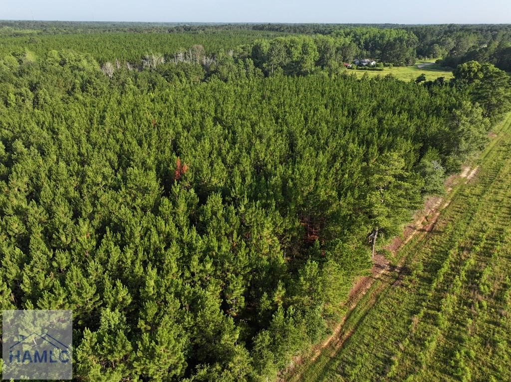 0 Oglethorpe Road Jesup, GA 31545 - Photo 7 of 7