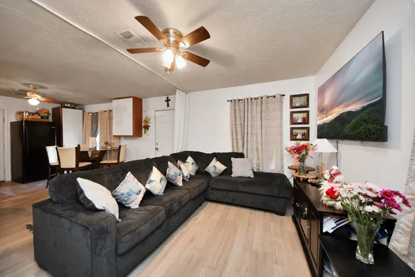 a living room with furniture flowerpot and a flat screen tv