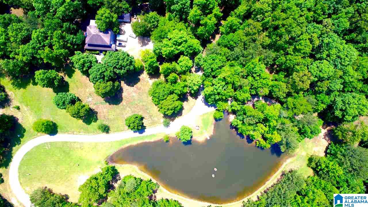 95 Brookview Lane Helena, AL 35080 - Photo 6 of 49