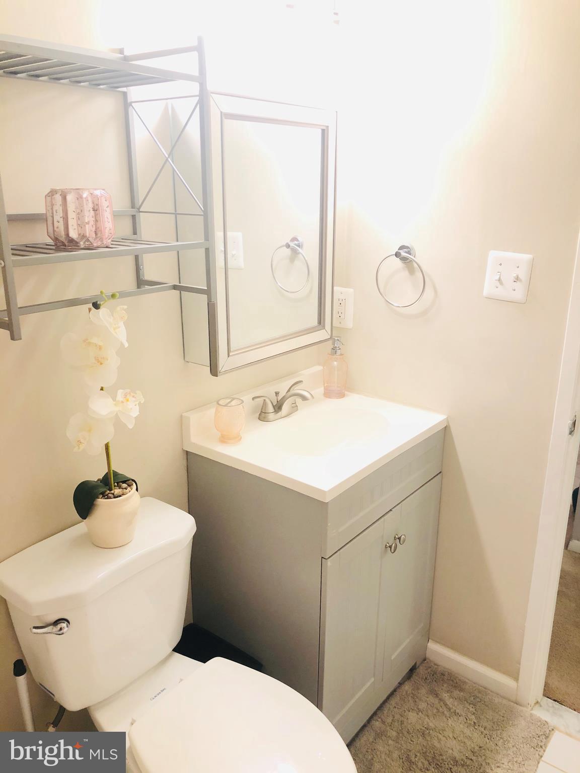 11554 Rolling Green Court, Unit 100 Reston, VA 20191 - Photo 18 of 22