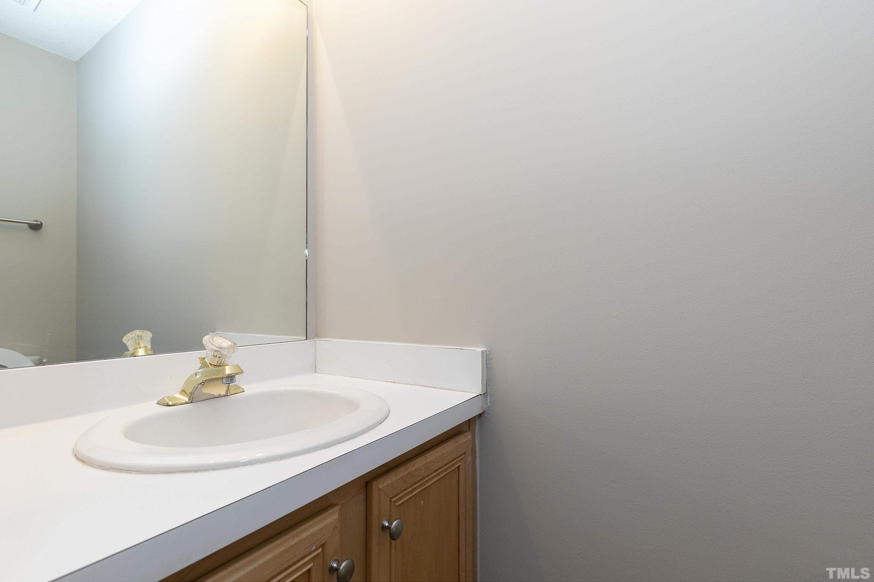 613 Branchview Drive Durham, NC 27713 - Photo 18 of 40 a bathroom with a sink and a mirror